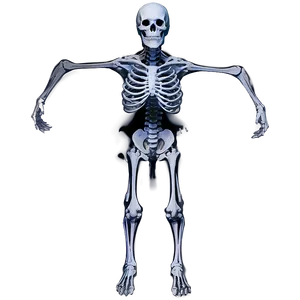 Halloween Horror Odyssey PNG 06292024