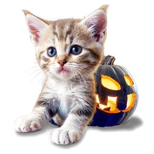 Halloween Kitten PNG 74
