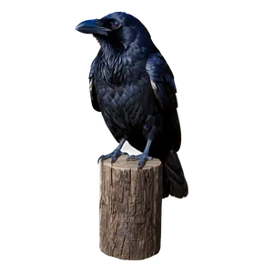 Halloween Raven PNG 88