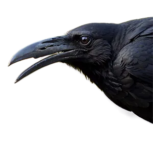 Halloween Raven PNG Ycm33