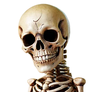 Halloween Skeleton Png Tnw4 PNG image