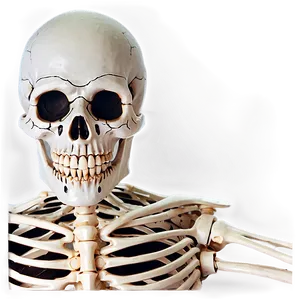 Halloween Skeleton Png Ttv PNG image