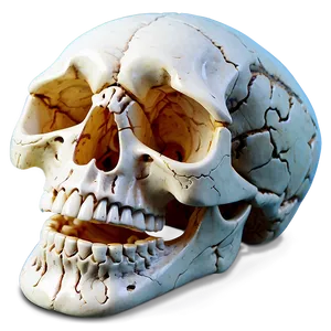 Halloween Skull Clipart Png 18 PNG image