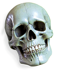 Halloween Skull Png 05262024 PNG image