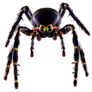 Halloween Spider Png 05042024 PNG image