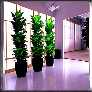 Hallway Plant Decor PNG Wdj