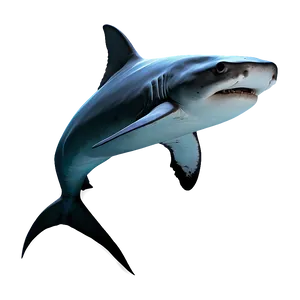 Hammerhead Shark Graphic Png 05032024 PNG image