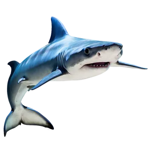 Hammerhead Shark Graphic Png Bjr41 PNG image