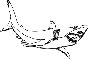 Hammerhead Shark Illustration