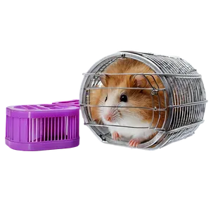 Hamster Cage Setup Png 15 PNG image