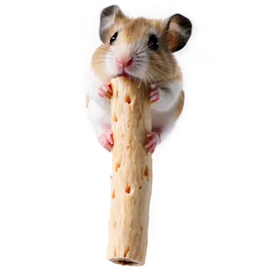 Hamster Chew Stick Png 05232024 PNG image