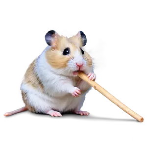 Hamster Chew Stick Png Ixl PNG image
