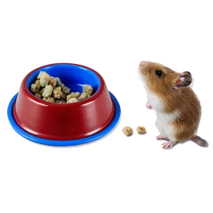 Hamster Food Bowl Png Jgi PNG image