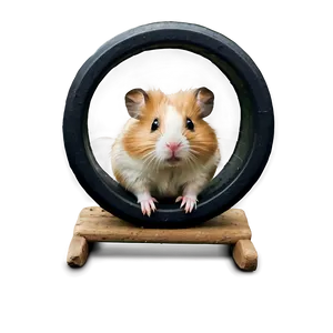 Hamster On Wheel Png 05232024 PNG image