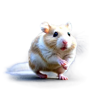 Hamster Running Png 05232024 PNG image