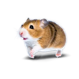 Hamster Running Png 05232024 PNG image
