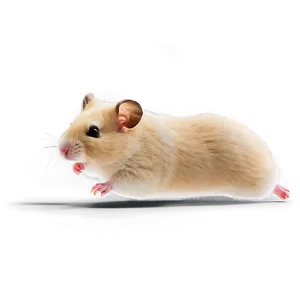 Hamster Running Png 78 PNG image