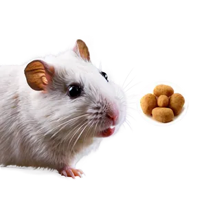 Hamster Treats Png Hyu PNG image