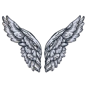 Hand-drawn Angel Wings Model PNG Feh PNG