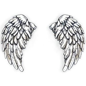Hand-drawn Angel Wings Model PNG Sls PNG