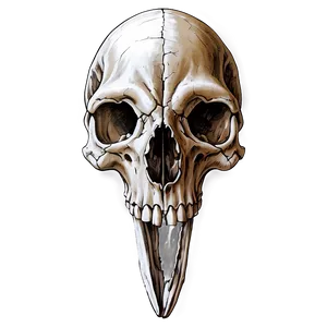 Hand-drawn Animal Skull PNG 06282024 PNG