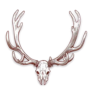Hand-drawn Antler PNG 06212024