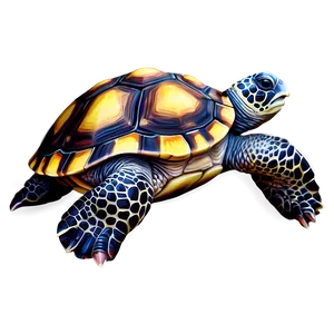 Hand Drawn Baby Turtle PNG 39 PNG