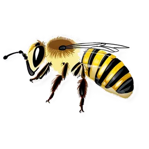 Hand-drawn Bee Png 06252024 PNG image