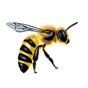 Hand-drawn Bee PNG 06252024 PNG