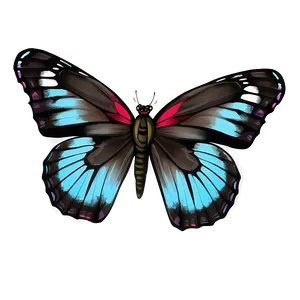 Hand Drawn Black Butterfly PNG Owp PNG