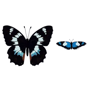 Hand Drawn Black Butterfly PNG Psw PNG