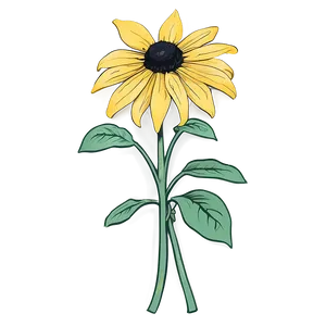 Hand Drawn Black Eyed Susan PNG 76
