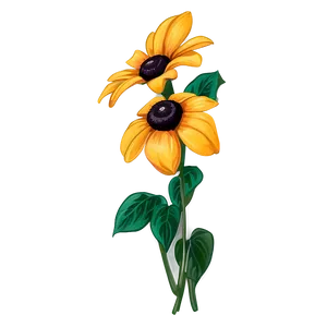 Hand Drawn Black Eyed Susan PNG Xme76