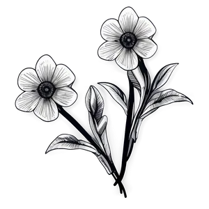 Hand Drawn Black White Flowers PNG Bgg88