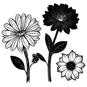 Hand Drawn Black White Flowers PNG Rmb77