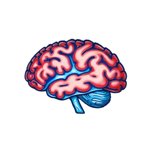 Hand-drawn Brain Outline PNG Sfp93 PNG
