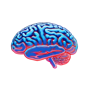 Hand-drawn Brain Sketch Png 16 PNG image