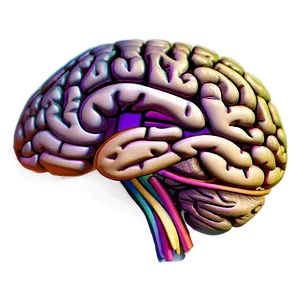 Hand-drawn Brain Sketch Png 47 PNG image