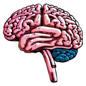 Hand-drawn Brain Sketch Png 58 PNG image