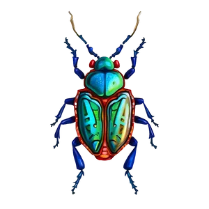 Hand Drawn Bug PNG Khm