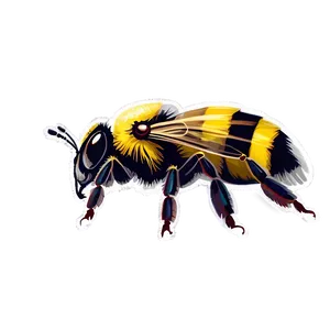 Hand-drawn Bumblebee Sketch PNG Flh PNG