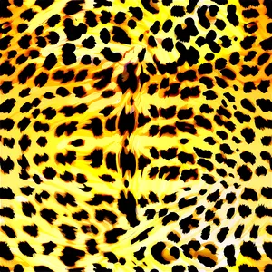 Hand Drawn Cheetah Print PNG Mwy8