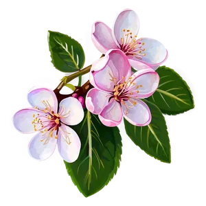 Hand Drawn Cherry Blossom Sketch Png 44 PNG image