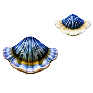 Hand-drawn Clam Sketch PNG 05242024