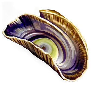 Hand-drawn Clam Sketch PNG Rsu