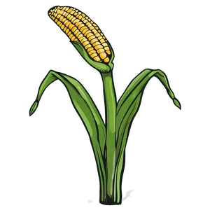 Hand Drawn Corn Stalk Png Ayu64 PNG image