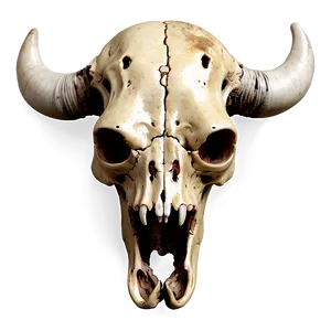 Hand-drawn Cow Skull Png 06132024 PNG image