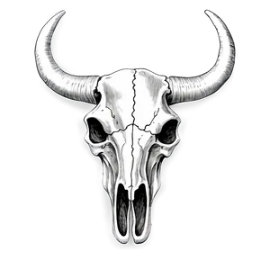 Hand-drawn Cow Skull Png 06132024 PNG image