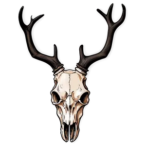 Hand-drawn Deer Skull PNG Squ PNG