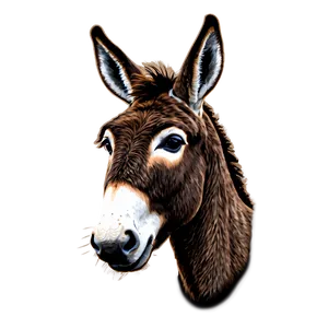 Hand Drawn Donkey PNG Aur39